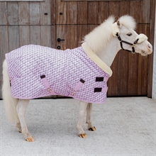 Kentucky Show rug Sammy 